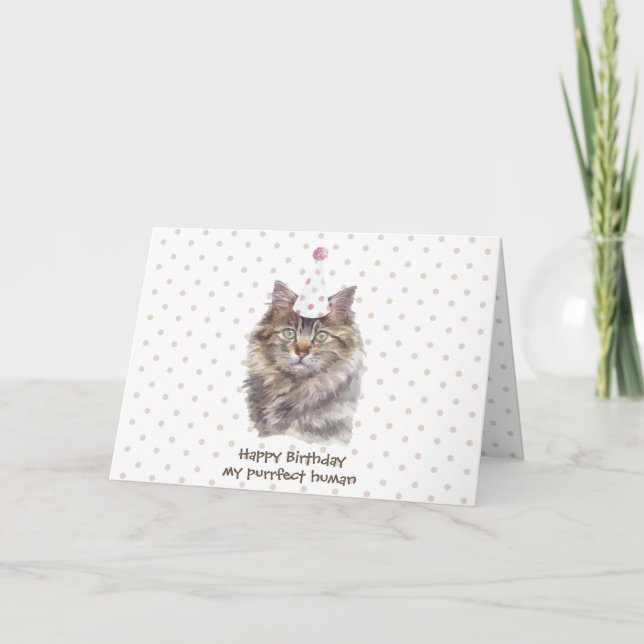 Maine coon Cat party firar födelsedag Kort (Framsida)