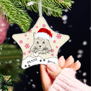 Maine Coon Cat Personlig Hand Teckning Julgransprydnad Keramik