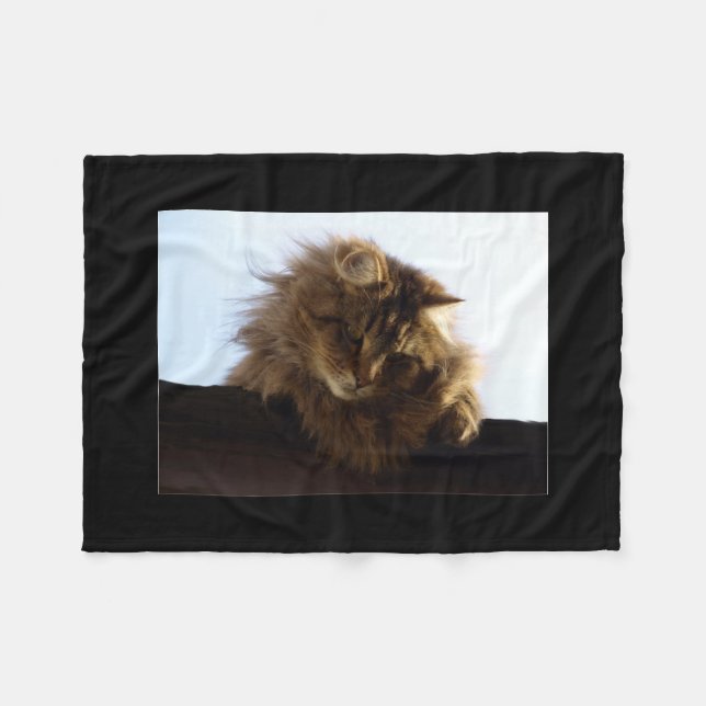 Maine Coon Cat Pet Fleecefilt (Framsidan (Horisontell))