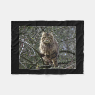 Maine Coon Cat Pet Fleecefilt
