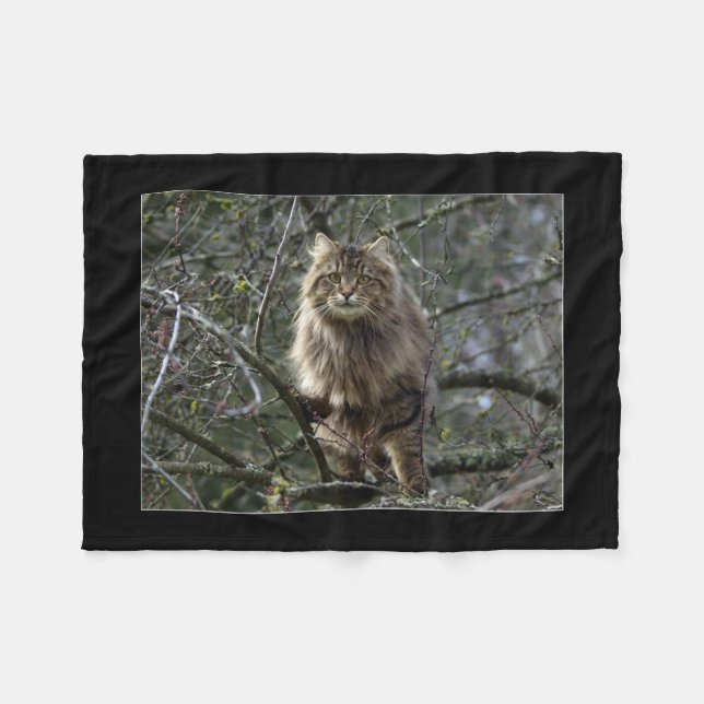 Maine Coon Cat Pet Fleecefilt (Framsidan (Horisontell))