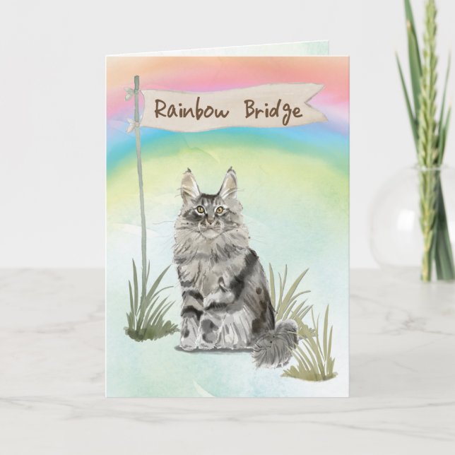Maine Coon Cat Pet Sympathy over Rainbow Bridge Kort (Framsida)