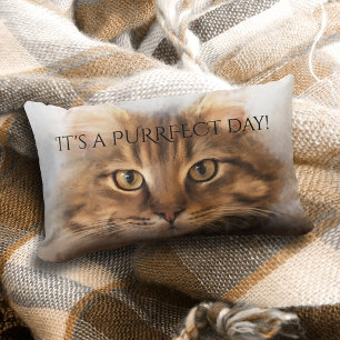 Maine Coon Cat Pillow (Purrect Tabby) Lumbarkudde
