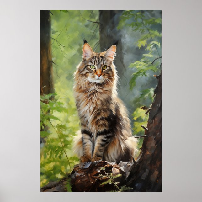 Maine Coon cat Poster (Framsidan)