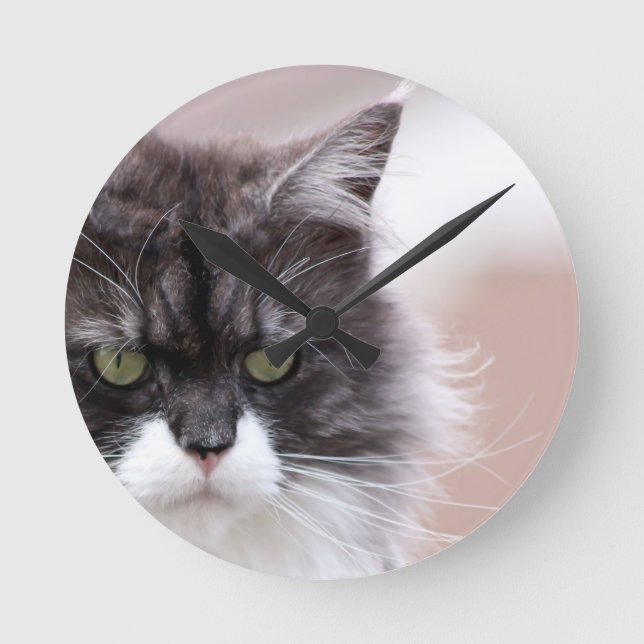 Maine Coon Cat Rund Klocka (Framsida)