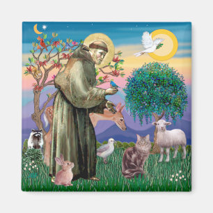 Maine Coon Cat - San Francis Magnet