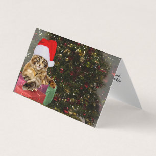 Maine Coon Cat Santa & Gifts Julgran bakom Kort
