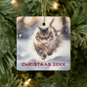 Maine Coon Cat som drunknar i Snö Julgransprydnad Keramik