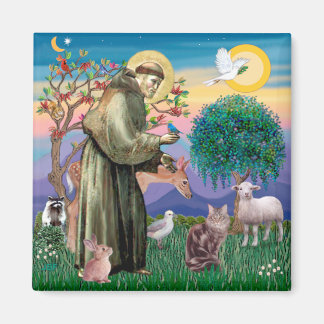 Maine Coon Cat - St Francis Magnet