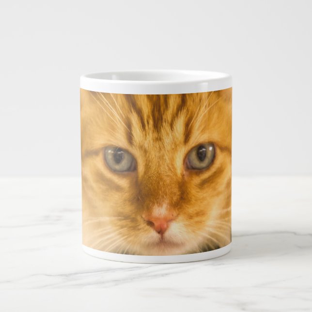 MAINE COON CAT STARE NED JUMBO MUGG (Framsidan)