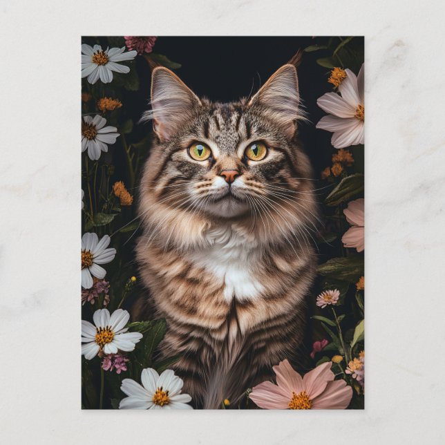Maine Coon Cat Surroded by Flowers Vykort (Framsida)