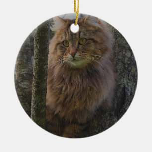 Maine Coon Cat - Träd Cat Julgransprydnad Keramik