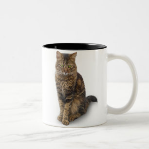 Maine Coon Cat Två-Tonad Mugg
