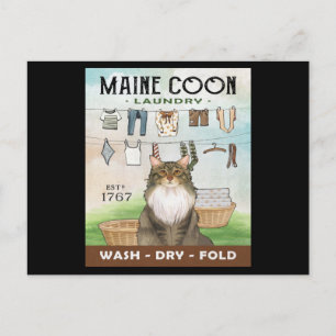 Maine Coon Cat Tvätt Company Vykort