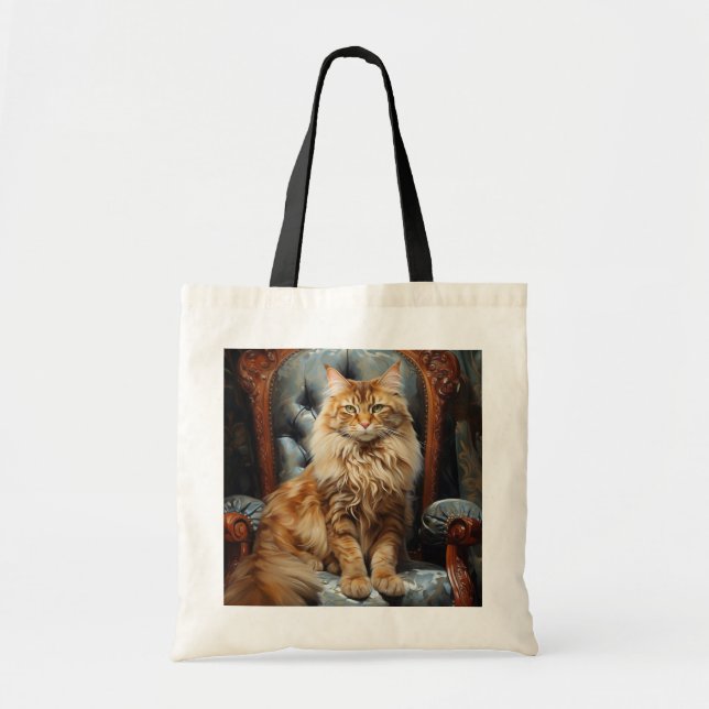 Maine Coon cat Tygkasse (Framsidan)