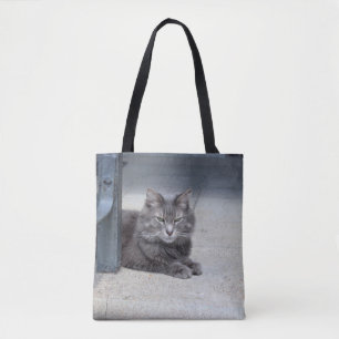 Maine Coon Cat Tygkasse