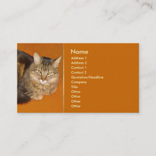 Maine Coon Cat Visitkort