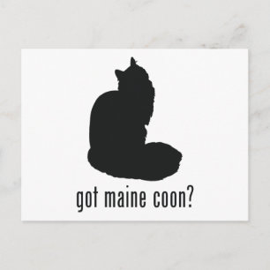 Maine Coon Cat Vykort