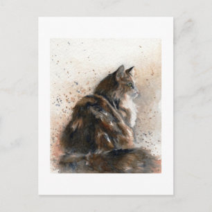 Maine Coon Cat vykort