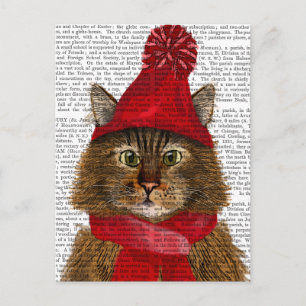 Maine Coon Cat Vykort