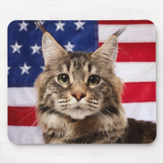 Maine Coon Cat With American Flag Musmatta