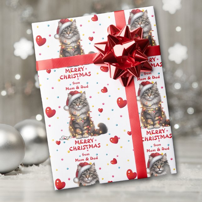 Maine Coon Cat Wrapped i Ljus Presentpapper (Skapare uppladdad)