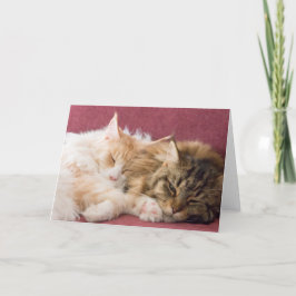 Maine Coon cats greeting card Helgkort