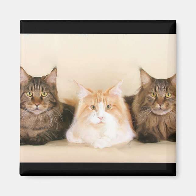 Maine coon Cats Magnet (Framsidan)