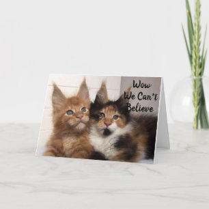 MAINE COON CATS SA **40?**? BIRTHDAY KORT