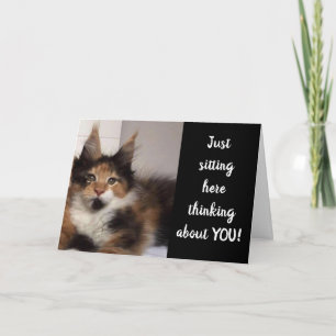 MAINE COON CATS SA **40?**? BIRTHDAY KORT