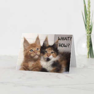 MAINE COON CATS SA **60?**? BIRTHDAY CARD KORT