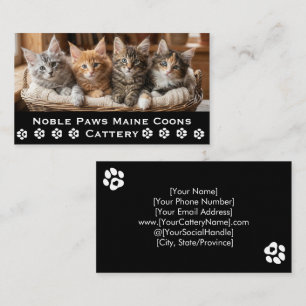 Maine Coon Cattery Uppfödare av husdjur Anpassni Visitkort