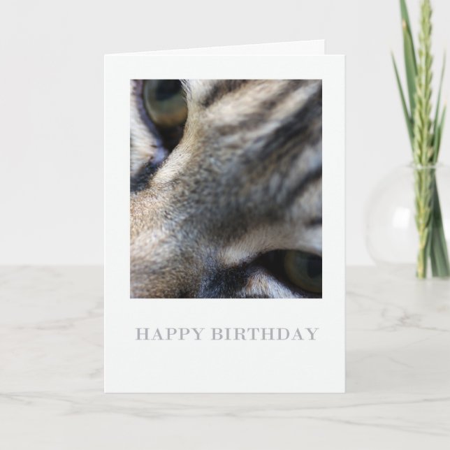 Maine Coon Close, Photography Birthday Card Kort (Framsida)