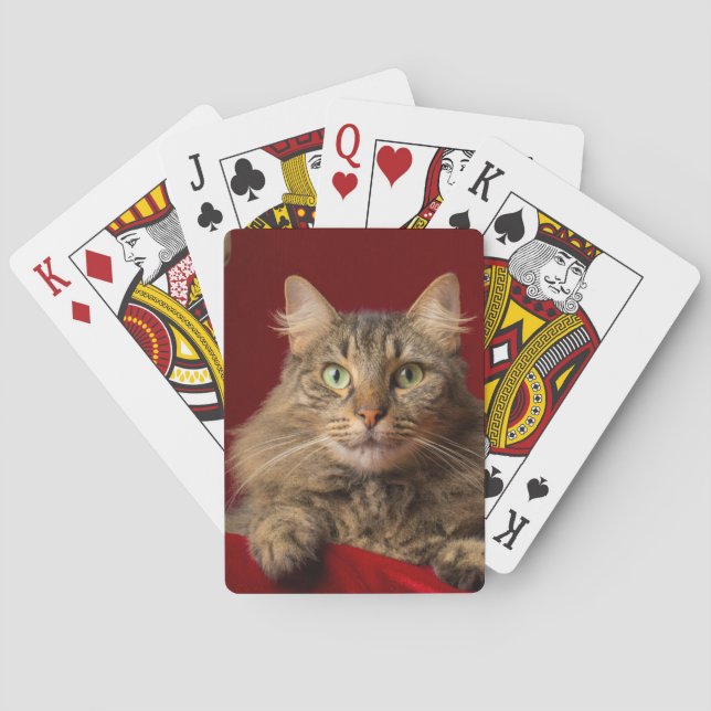 Maine Coon för jul med samlaren Casinokort (Baksidan)
