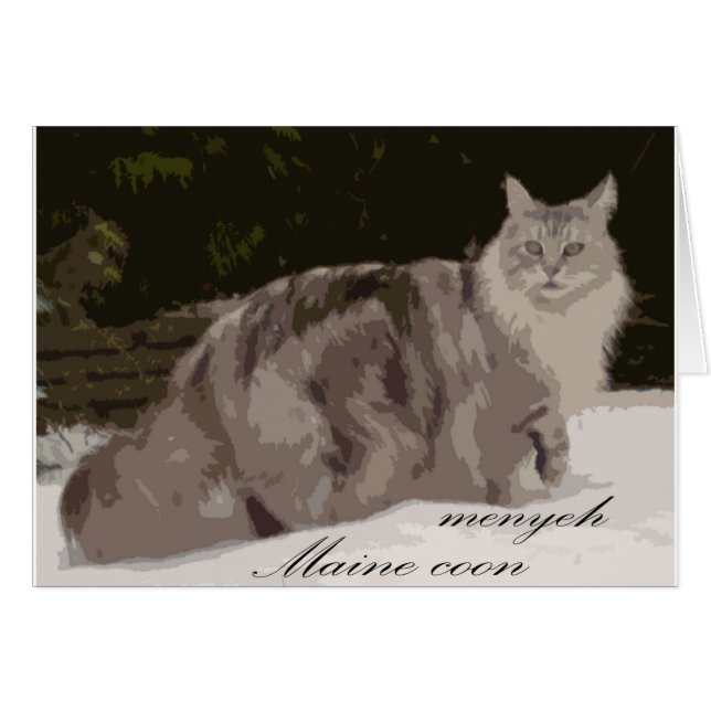 maine coon hälsningskort (Framsidan Horizontal)