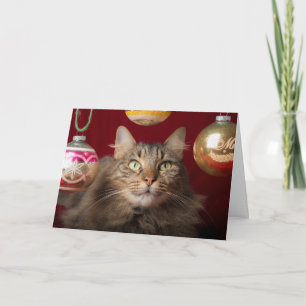 Maine Coon jul Cat Helgkort