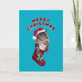Maine Coon-julklapp Helgkort