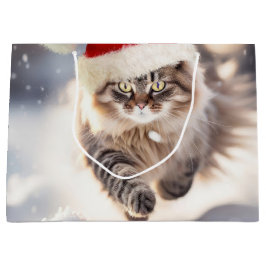 Maine Coon-julklapp i Snö