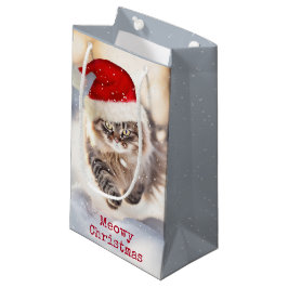 Maine Coon-julklapp i Snö