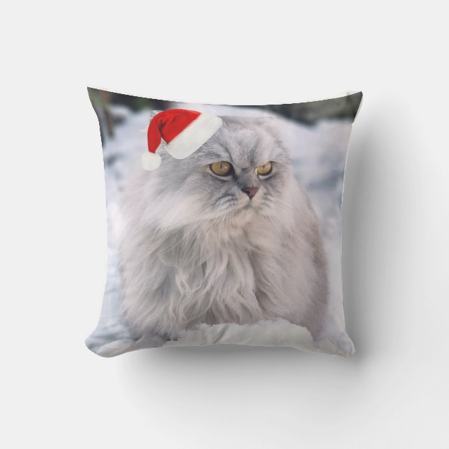 Maine Coon-julklapp i Snö Dekorativ kudde (Framsida)