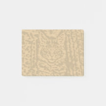 Maine Coon Katt 4 x 3