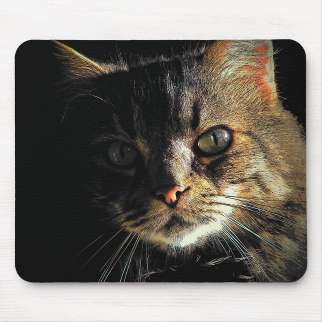 Maine Coon Katt Ansikte Musmatta (Framsidan)