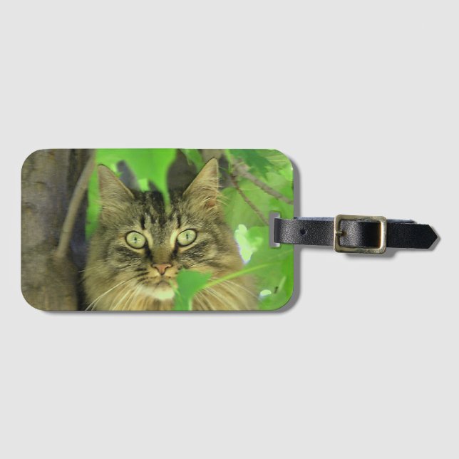 Maine Coon Katt i Träd Bagagebricka (Framsida horisontal)