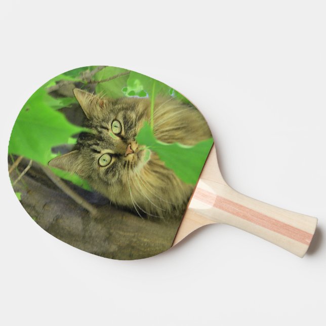 Maine Coon Katt i Träd Pingisracket (Sidan)