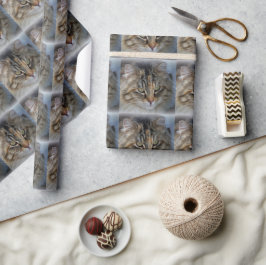 Maine Coon Katt Porträtt Inpackningspapper Presentpapper
