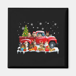 Maine Coon Katt Röd Lastbil Julgran Tomte Ful Magnet