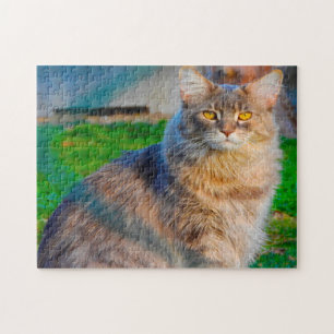 Maine Coon Katter. Pussel