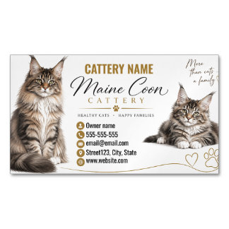 Maine Coon Katteri Kattuppfödare Magnetiska Visitkort