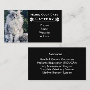 Maine Coon Katteri & Professionell Uppfödare Svart Visitkort