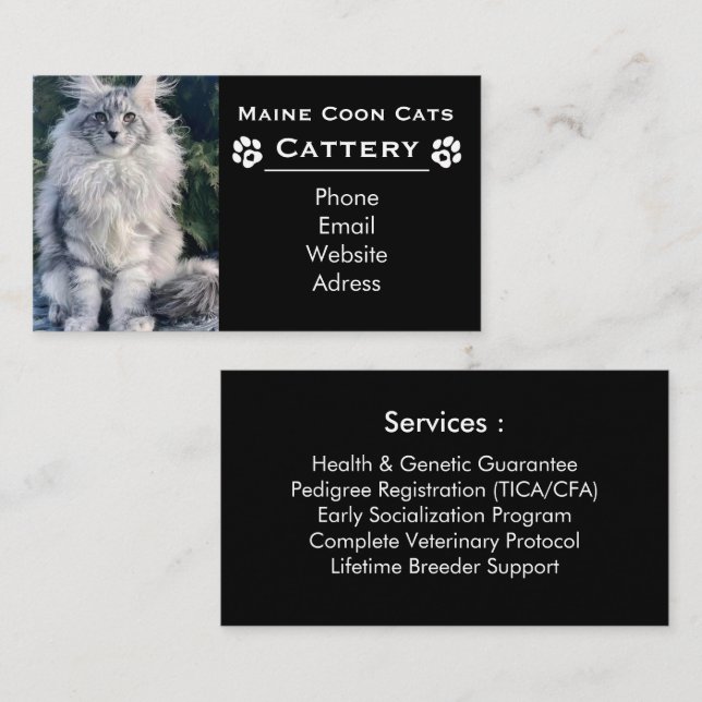 Maine Coon Katteri & Professionell Uppfödare Svart Visitkort (Fram/baksida)